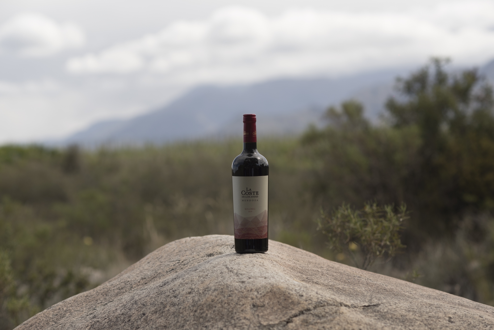 Discover our red wines 